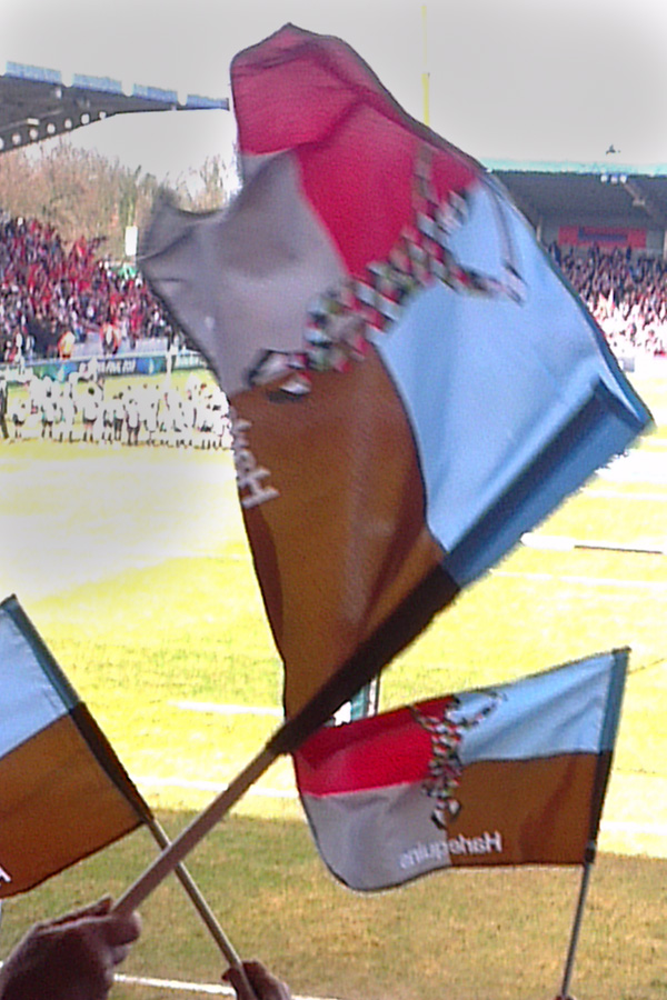 face paints and flags